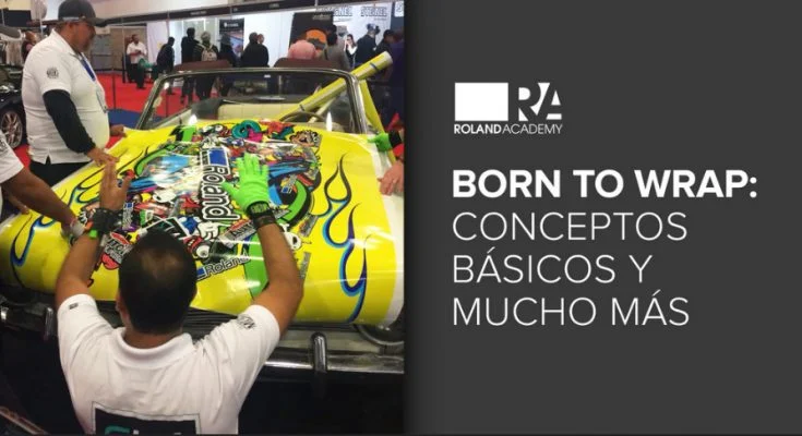 Born to Wrap